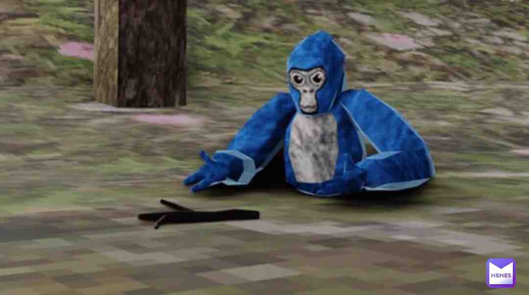 POV me when I see the moderator stick in gtag