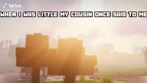 Meme preview