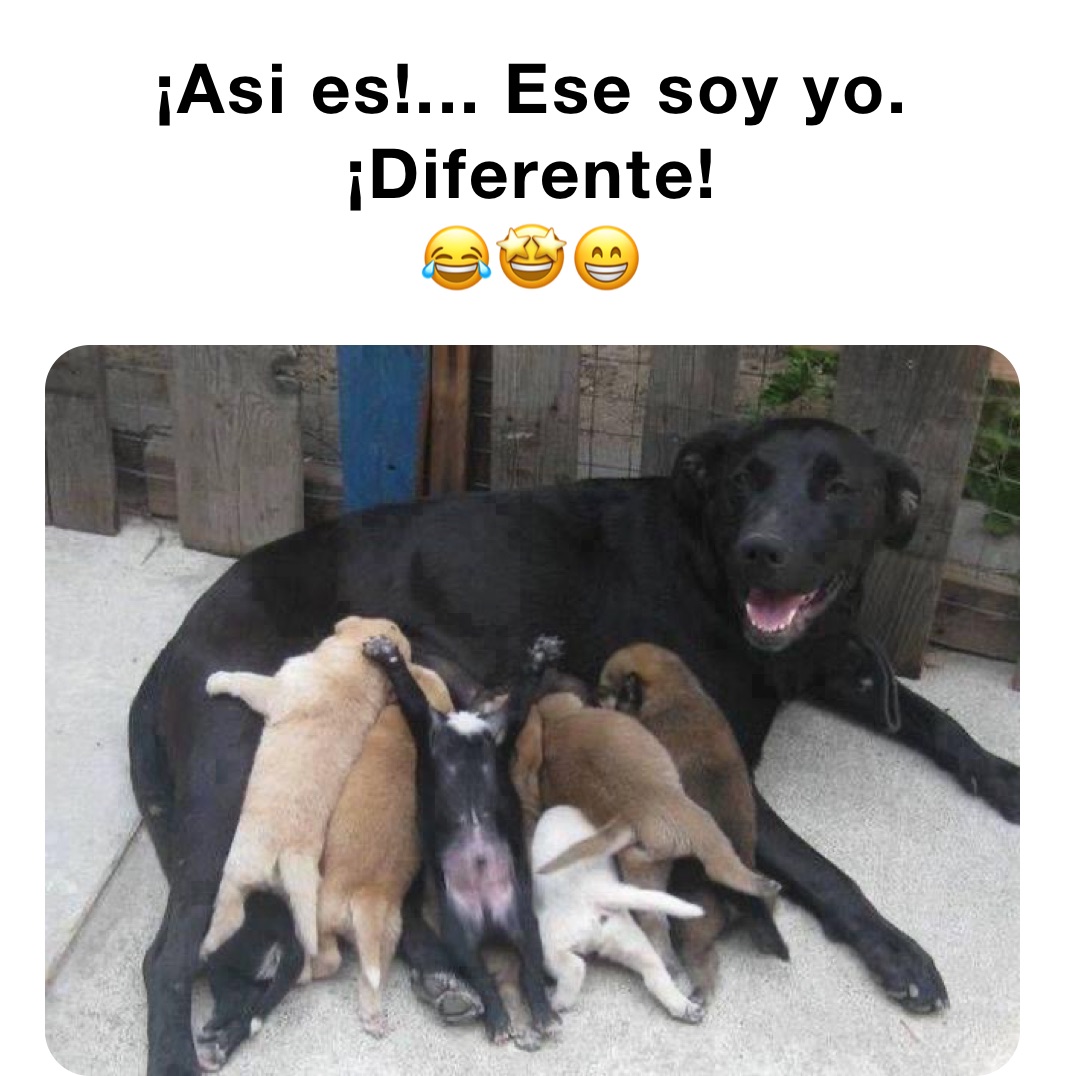 ¡Asi es!... Ese soy yo. ¡Diferente!
😂🤩😁