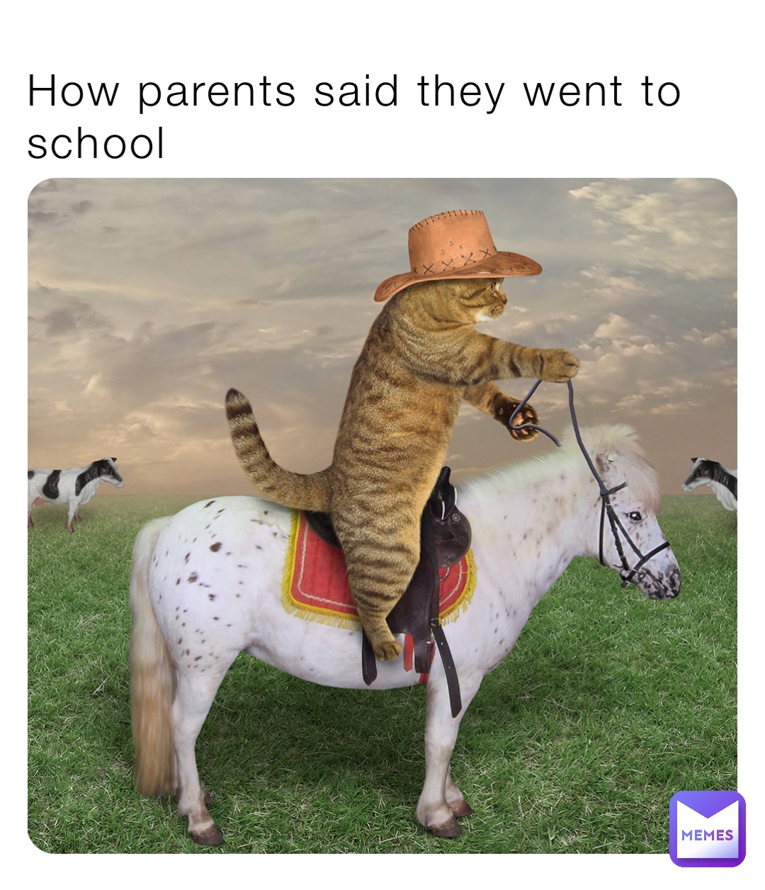 Ridinghorse Memes | Memes