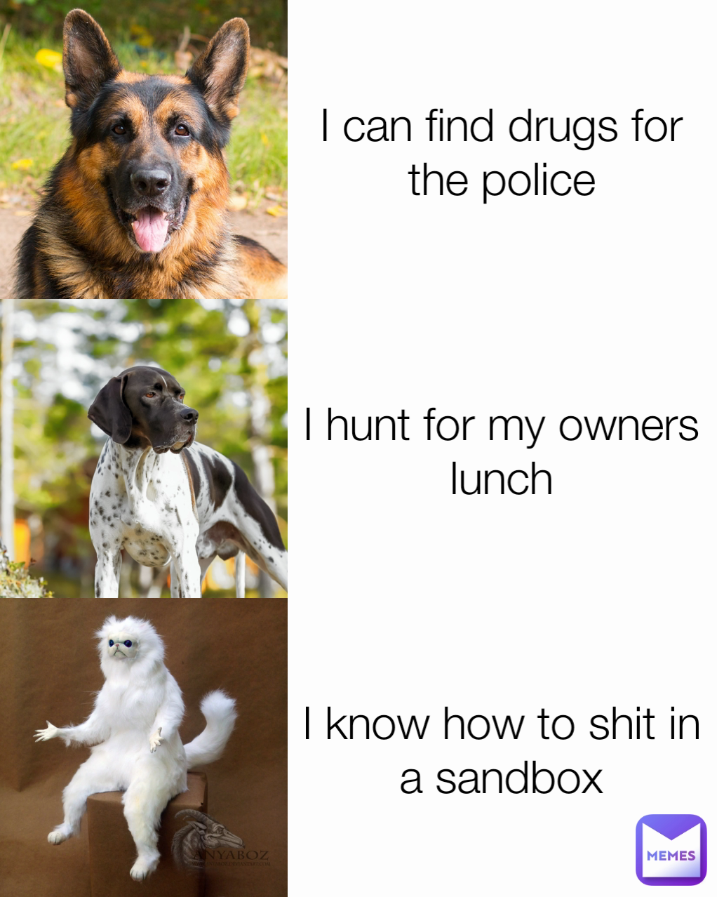 I know how to shit in a sandbox I can find drugs for the police I hunt for my owners lunch