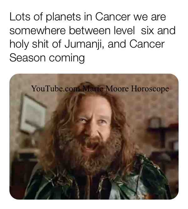 Meme preview