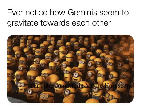 Meme preview