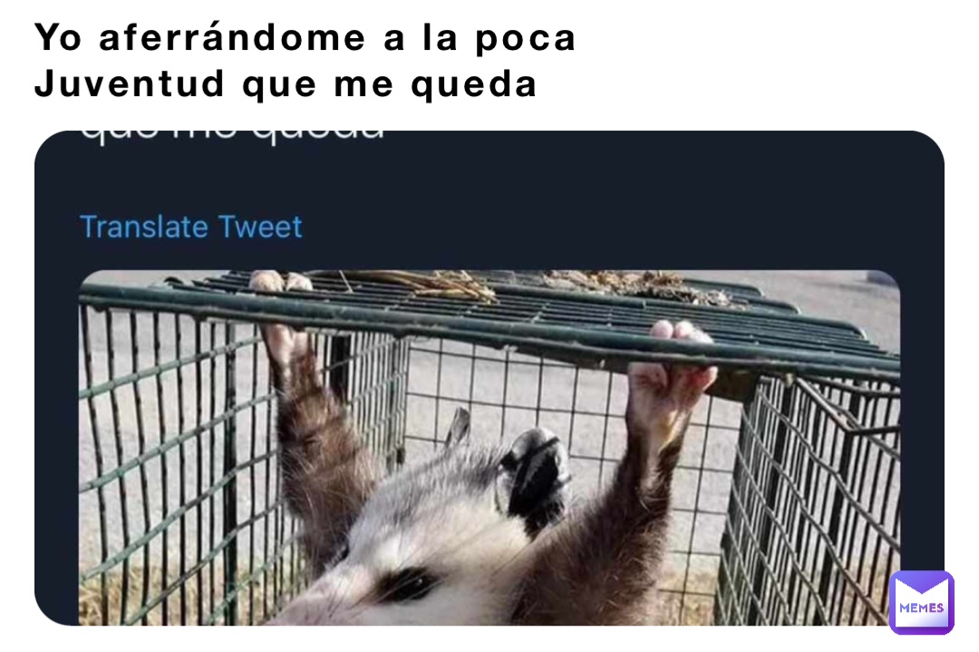 Yo aferrándome a la poca 
Juventud que me queda