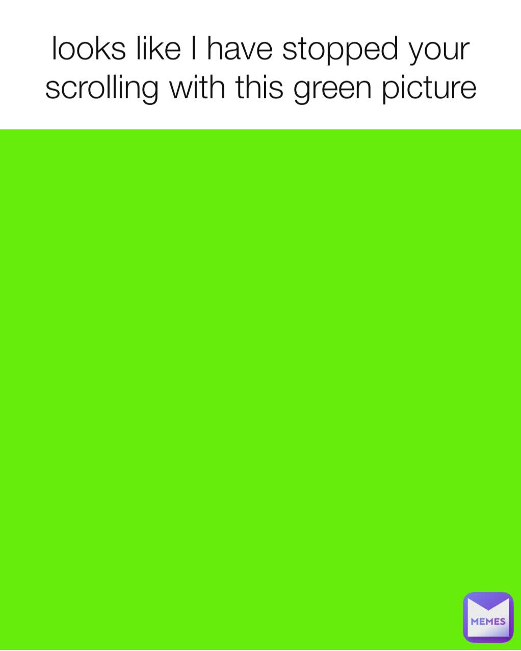 looks like I have stopped your scrolling with this green picture