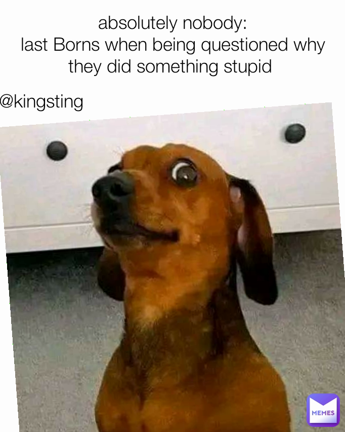 @kingsting absolutely nobody:
last Borns when being questioned why they did something stupid 