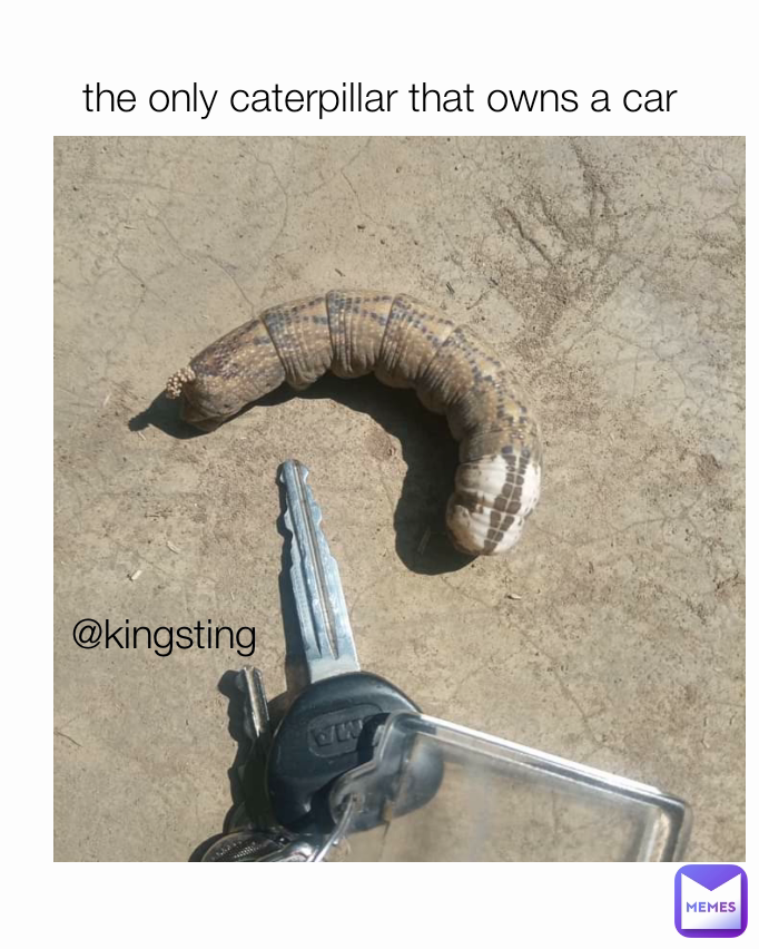 @kingsting the only caterpillar that owns a car