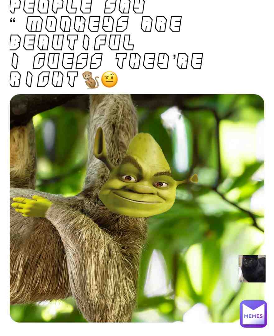 Meme shared by @COOLcat1234