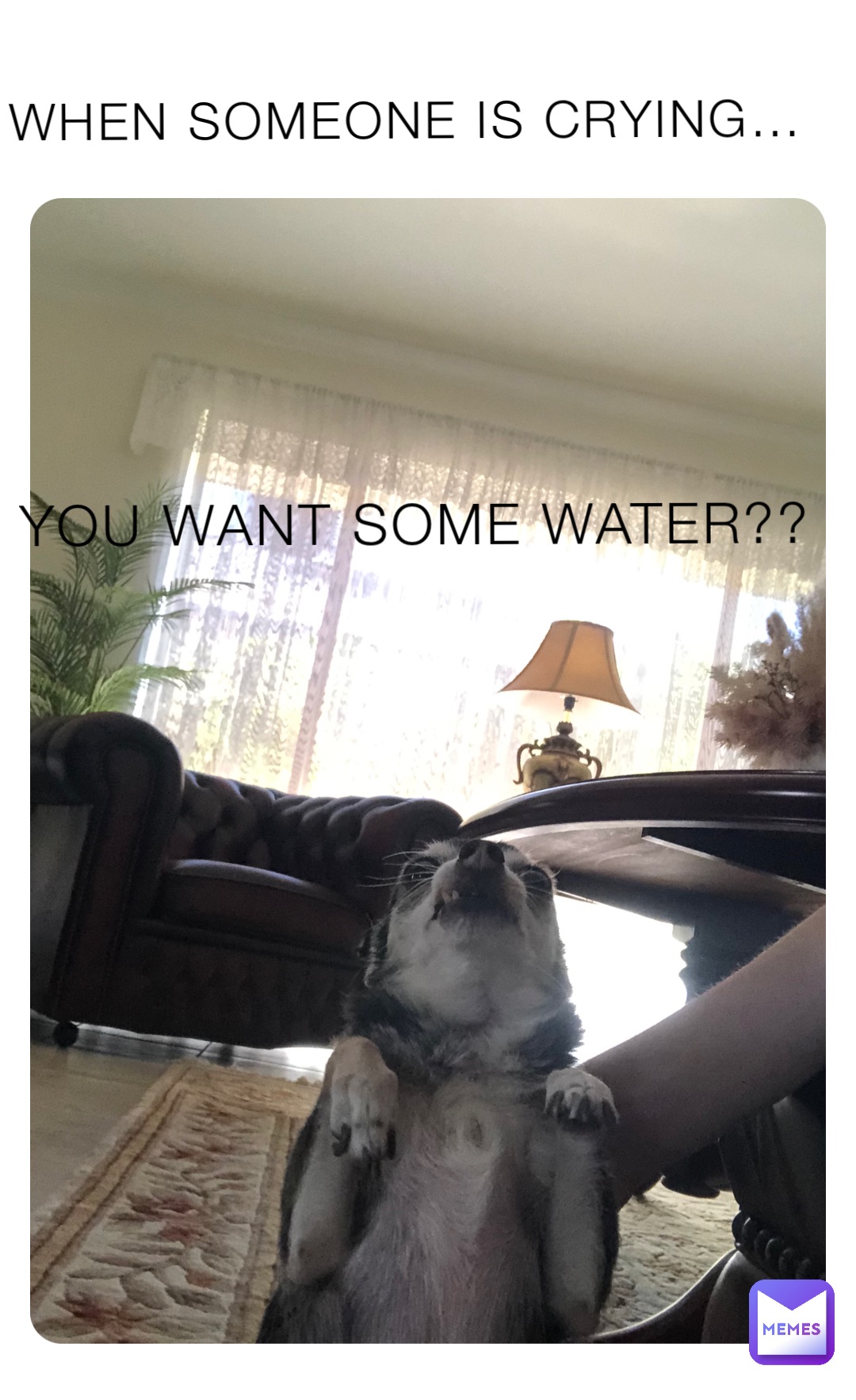 Meme by Nella_12345678910