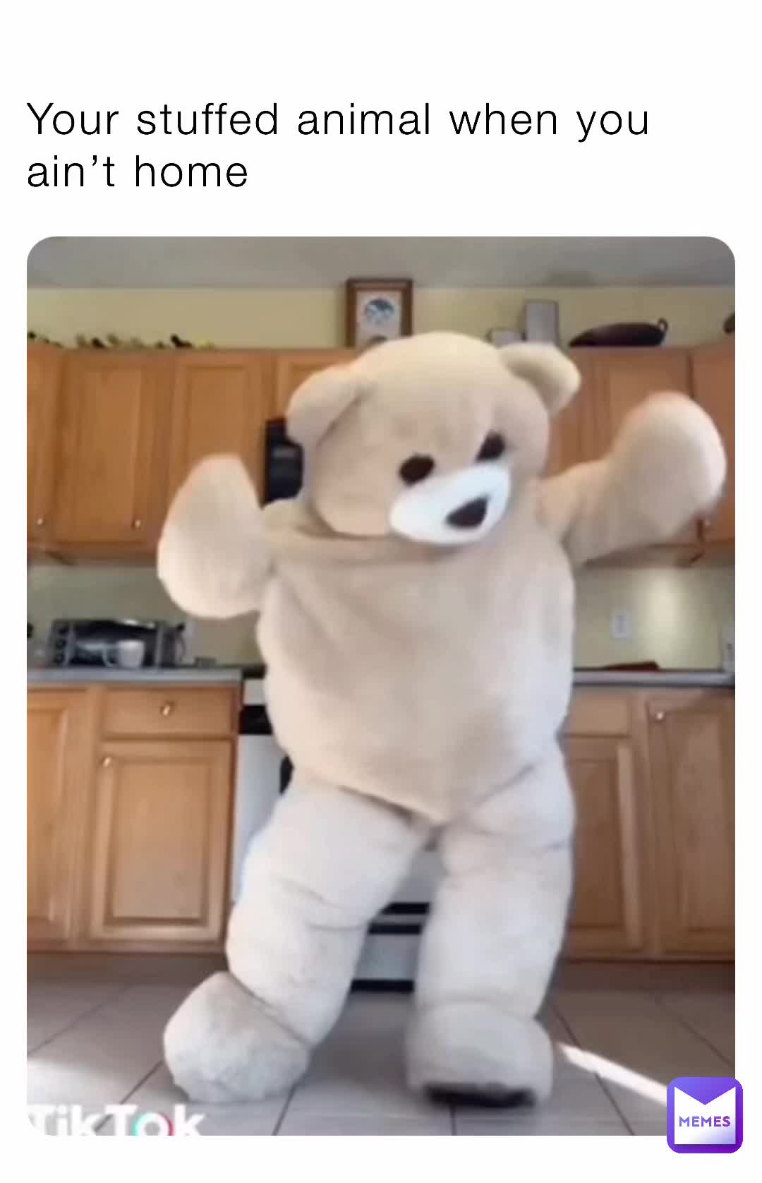 Your stuffed animal when you ain’t home | @Xman44459 | Memes