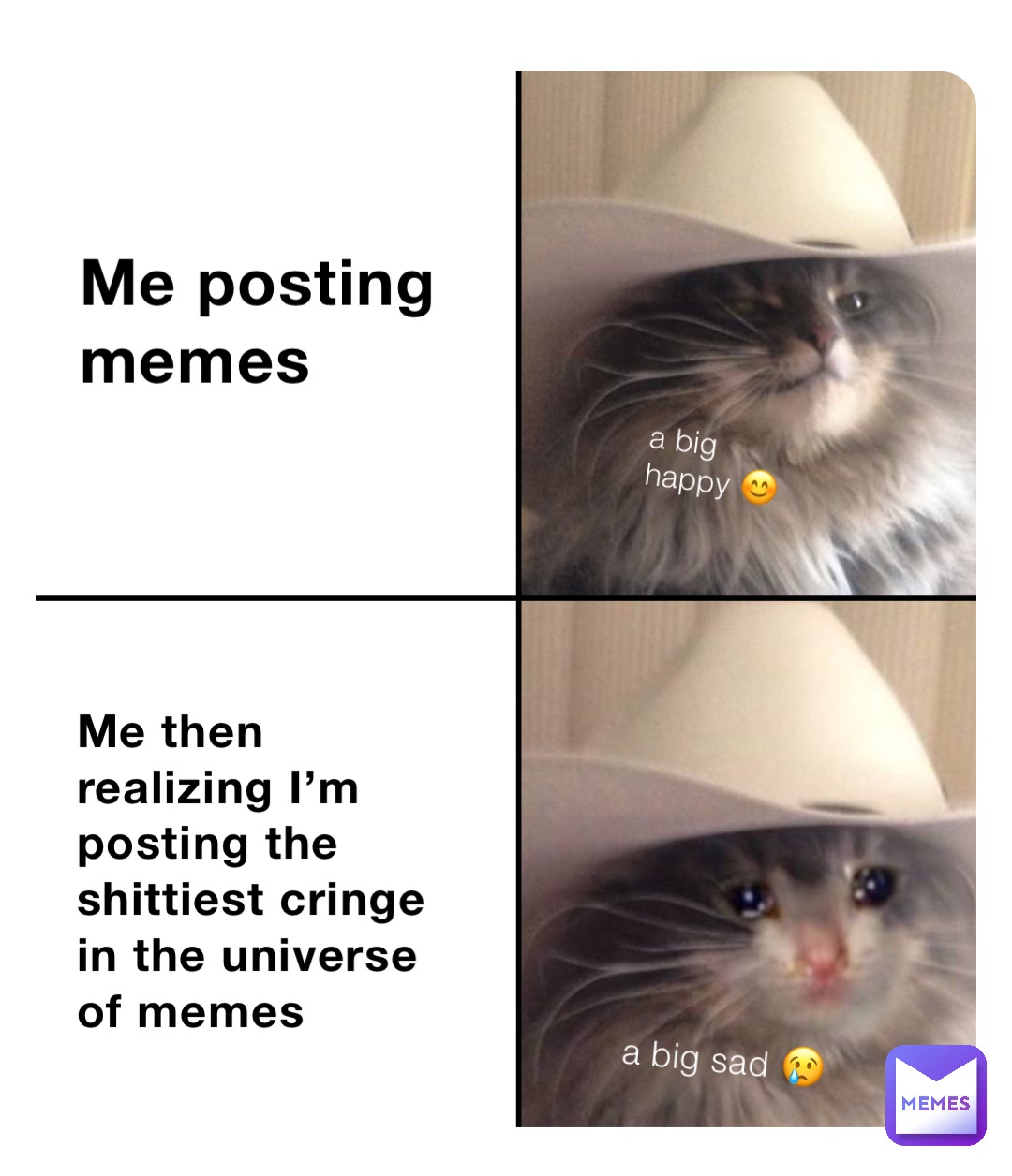 Me posting memes Me then realizing I’m posting the shittiest cringe in the universe of memes a big sad 😢 a big happy 😊