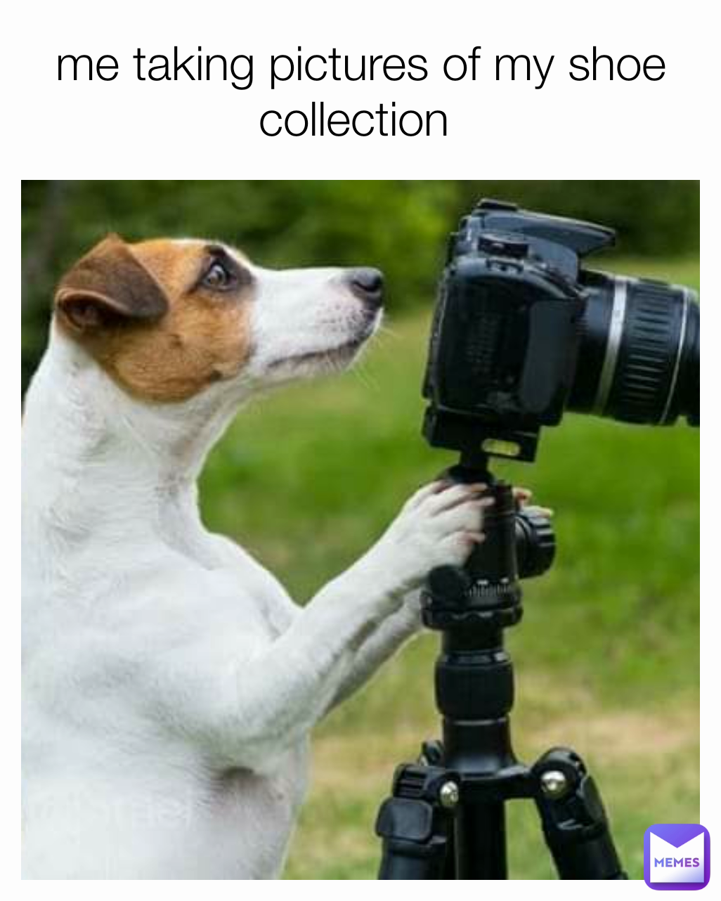 me taking pictures of my shoe collection 