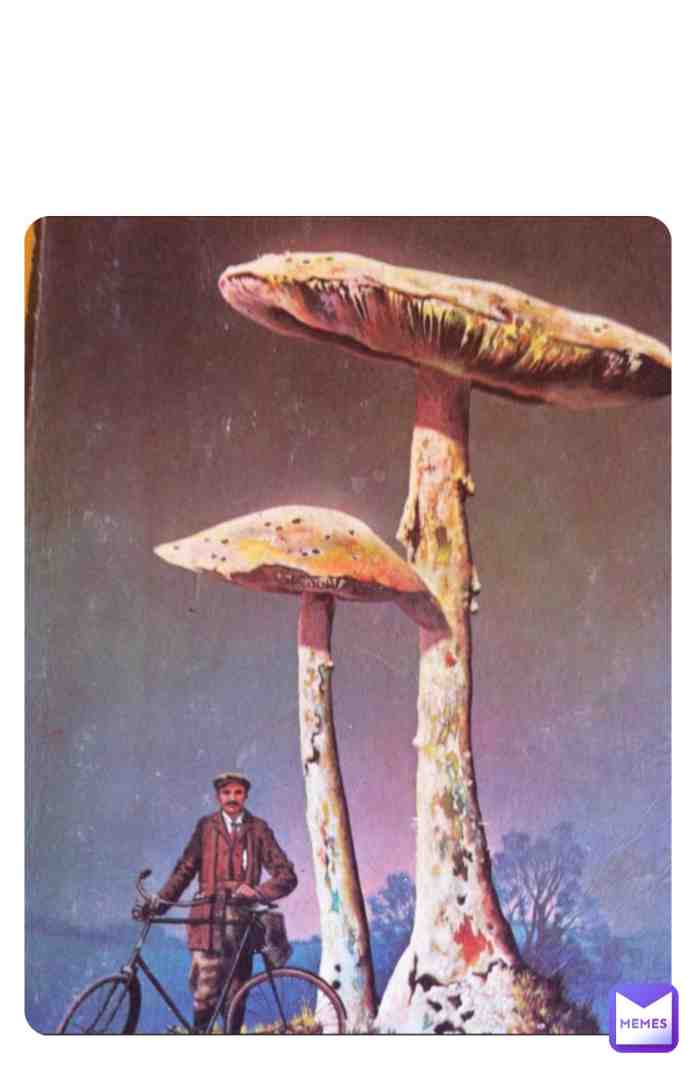https://mushrooms-world.com/ #psychedelics #chocolate #usa #trippy #memes