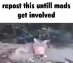 Meme shared by @Iamdabest