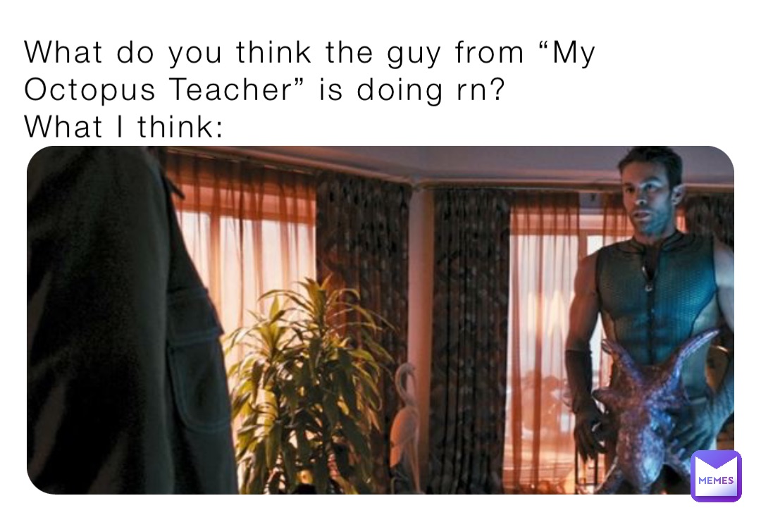 What do you think the guy from “My Octopus Teacher” is doing rn?
What I think: