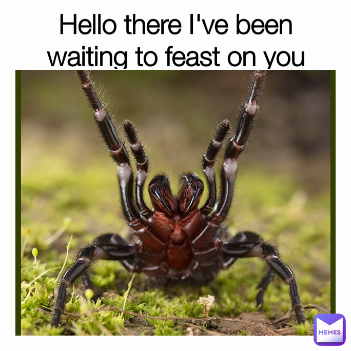 Hello there I've been waiting to feast on you