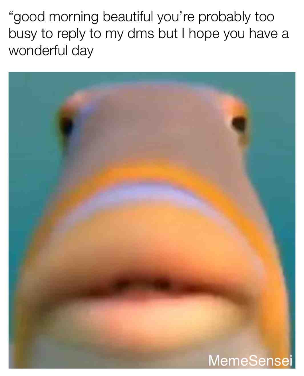 Face ass