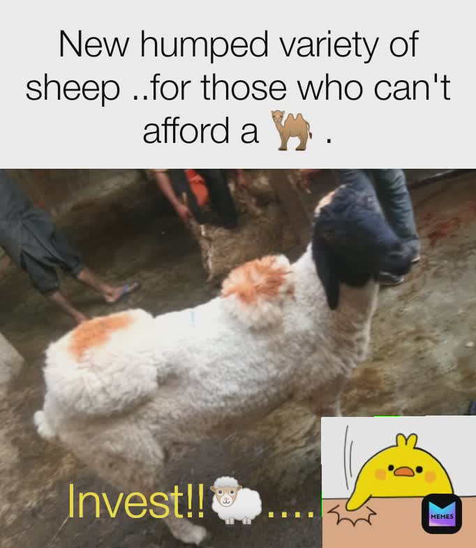 Meme by Allen_talker