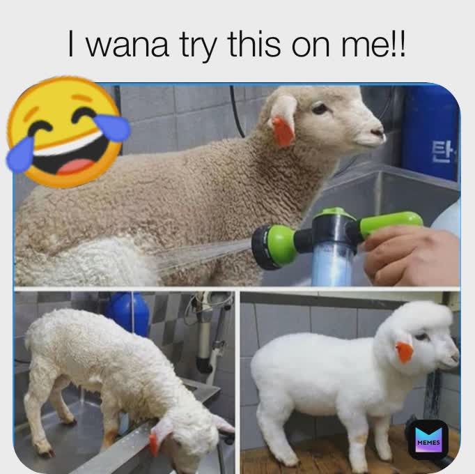 Meme by Allen_talker