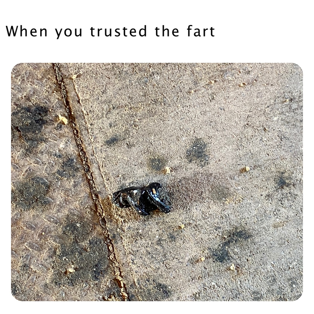 When you trusted the fart