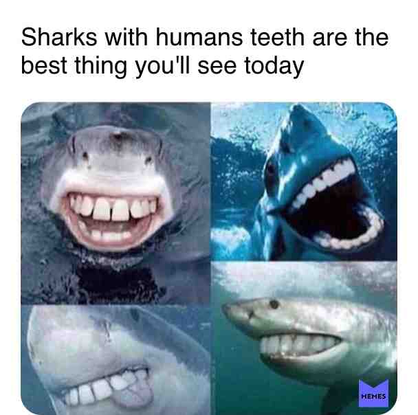 Sharko Sapiens ?
#meme #memes #edit #shark #fortnite #pubg #tiktok #edgy #offensive #hilarious #lol #lmao #rofl #ass #tits #boobs #egg #kylie #jenner #kardashian #wtf #dafaq #photoshop #reality #porn #pornstar #khalifa #horny #kink #kinky