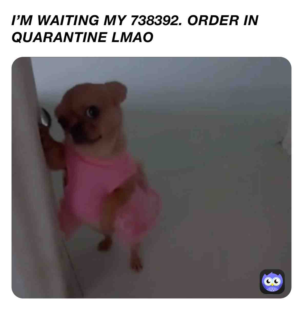 #dailymemes #memes #memeschallenge #mood #memesdaily #memesdaily #dailymemes #memeschallenge #dailymemes #memeschallenge #dailymemes #mood #memesdaily #memesdaily #dailymemes #dailymemes #memesdaily
