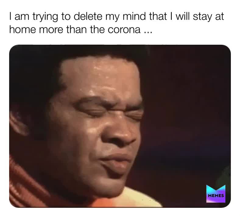 I konw, i know... be calm champ .d😂 #dailymemes #memechallenge #dailymemechallenge