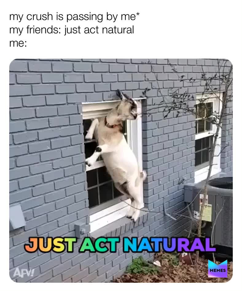 #memeschallenge ​ #turkishmemes  #memes  #dailymemes  #memesdaily ​ #moodmemes ​ #mood ​ #moodmemes  #memesdaily ​ #turkishmemes ​ #mood  #dailymemes  #memes  #memeschallenge ​ #mood