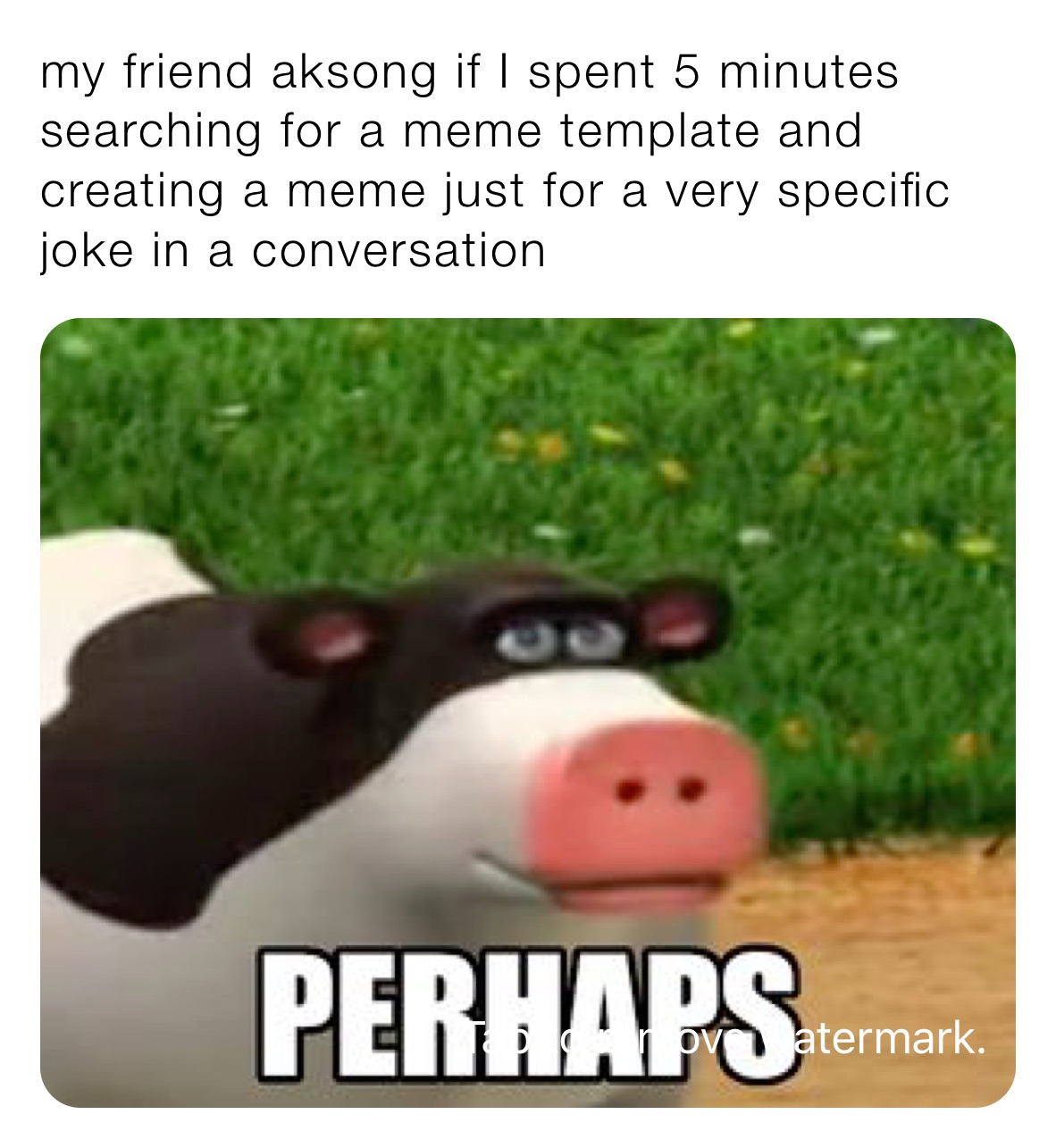 my friend aksong if I spent 5 minutes searching for a meme template and creating a meme just for a very specific joke in a conversation 