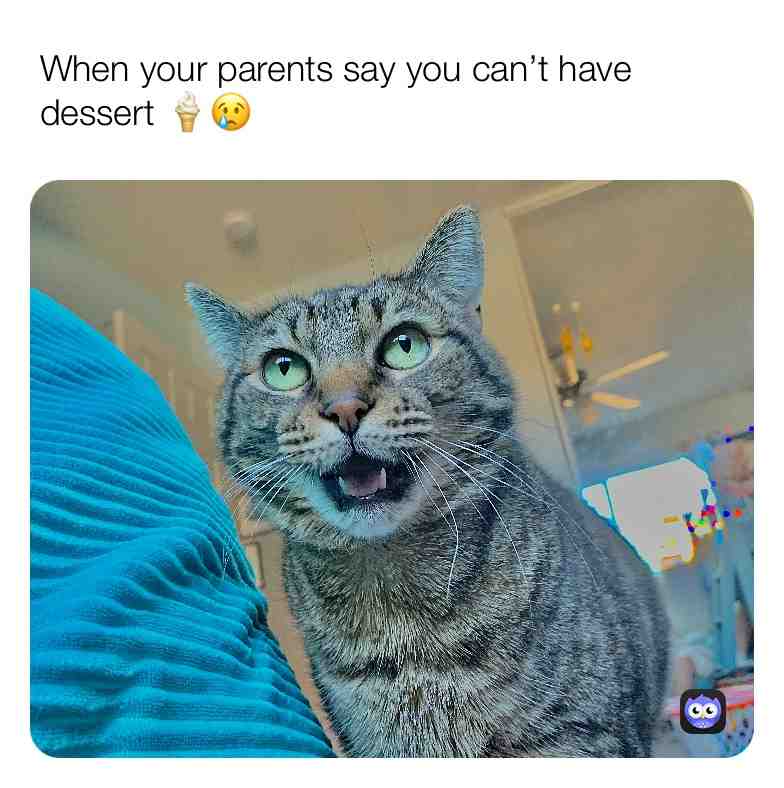 I know the feeling