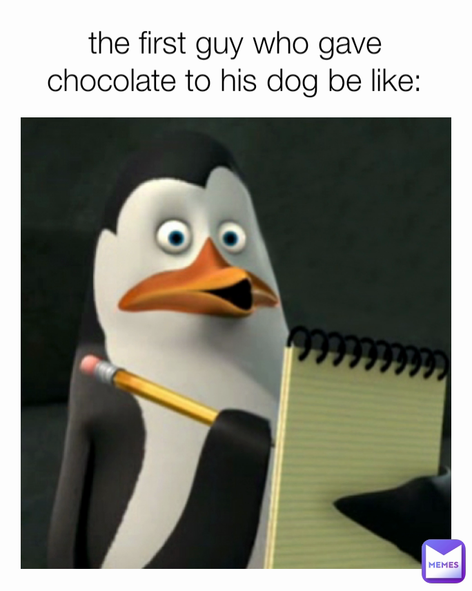 the first guy who gave chocolate to his dog be like:
