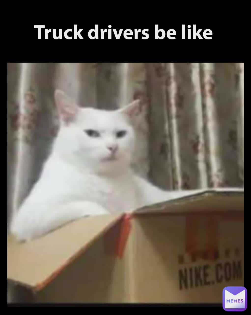 Truck drivers be like 