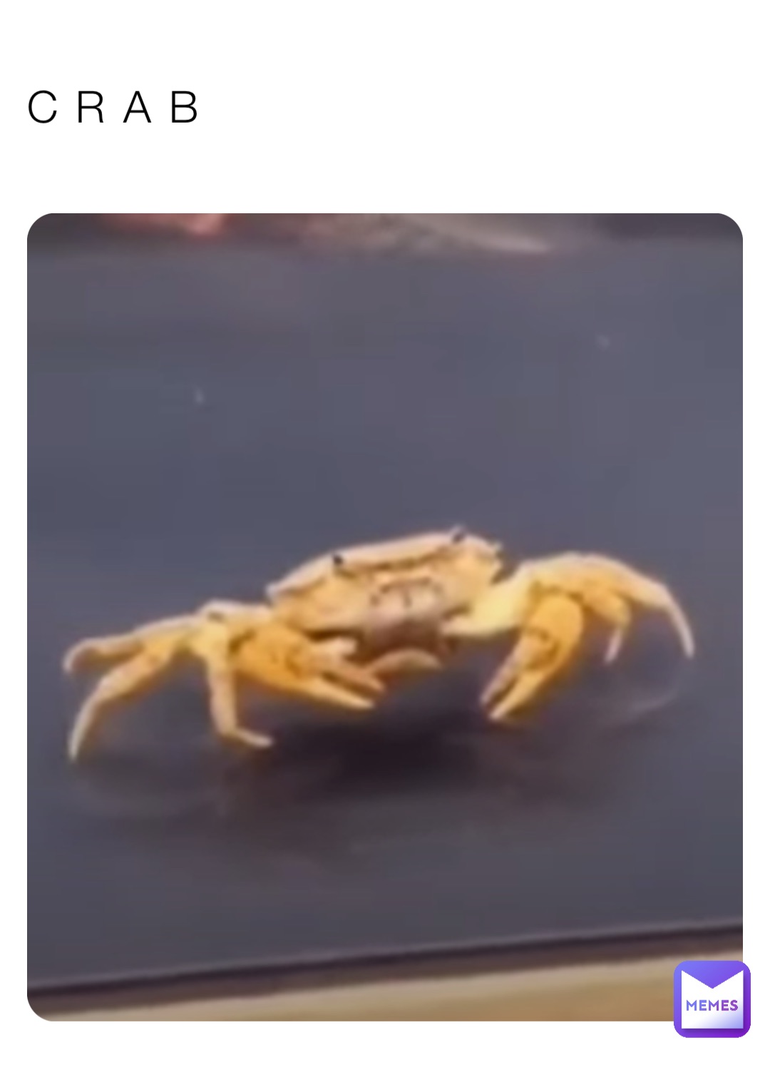 Meme by ElDarkHoodie