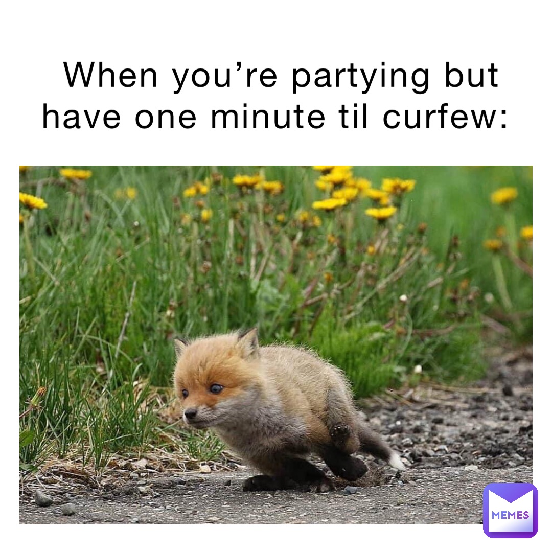 When You re Partying But Have One Minute Til Curfew Weird Wolf87 