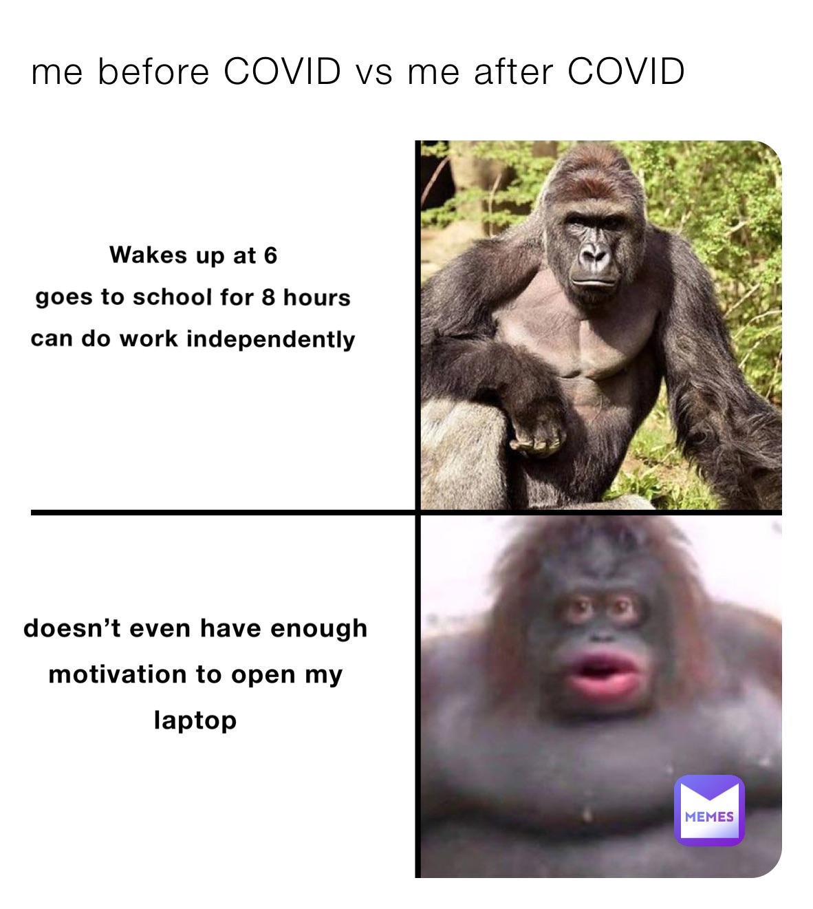 me before COVID vs me after COVID 