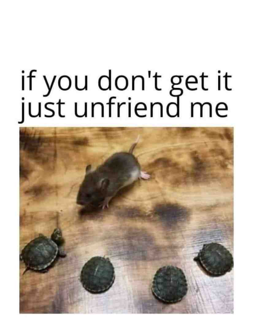 Meme shared by @nope_byeeeeee