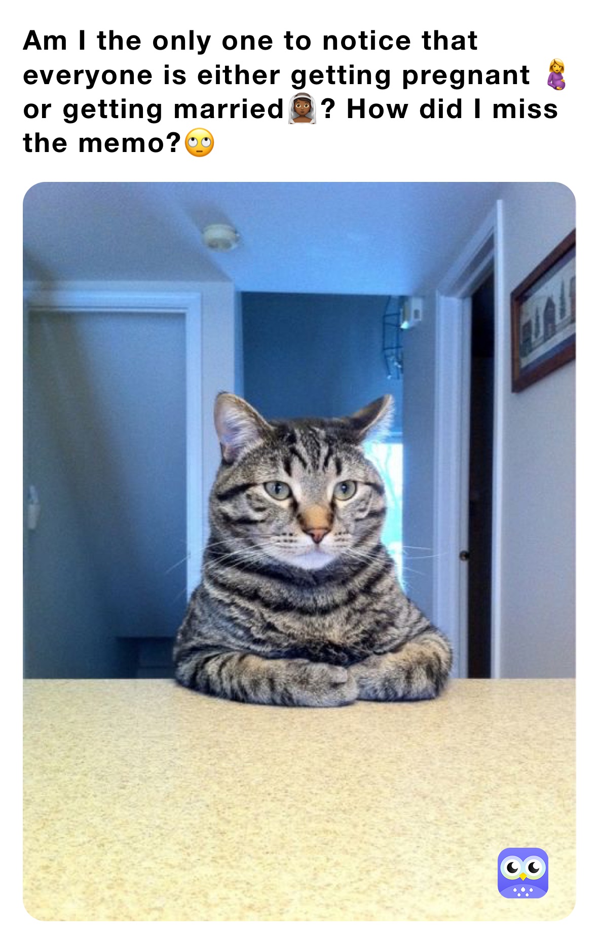 Am I the only one to notice that everyone is either getting pregnant 🤰 or getting married👰🏾? How did I miss the memo?🙄