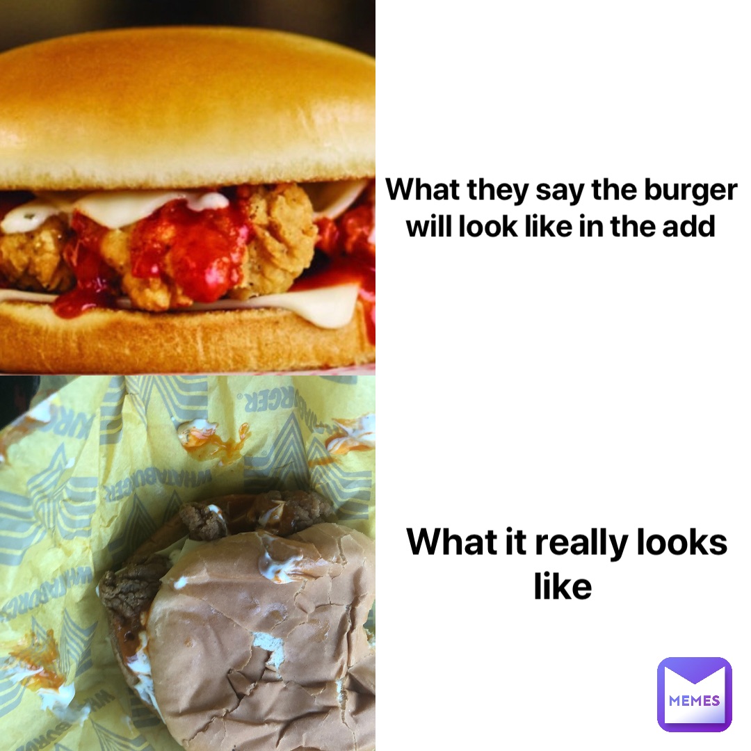 What they say the burger will look like in the add What it really looks like