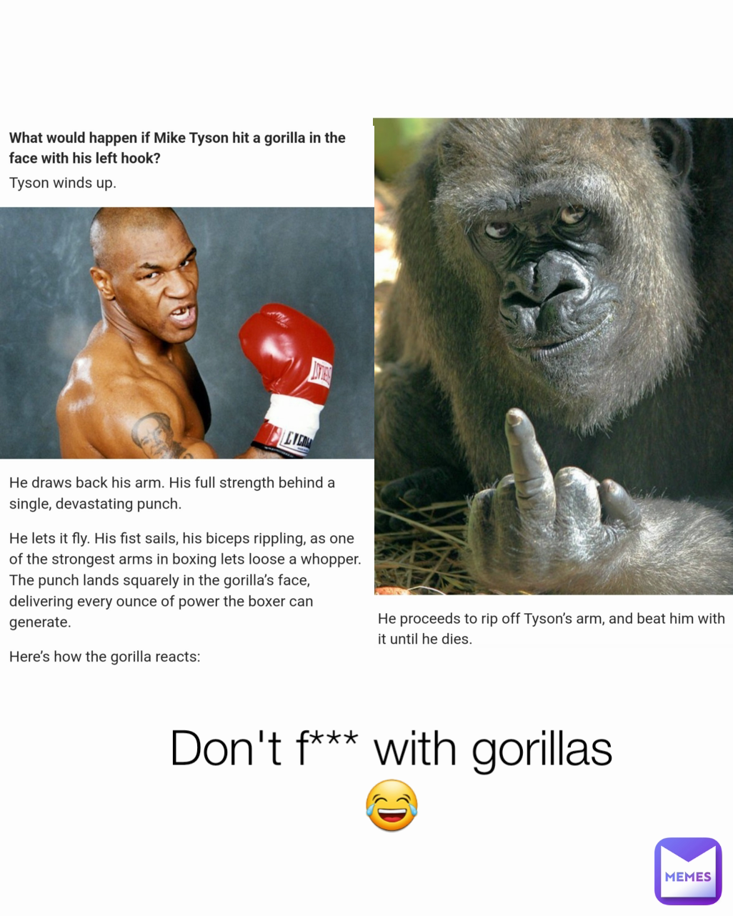 Don't f*** with gorillas 😂