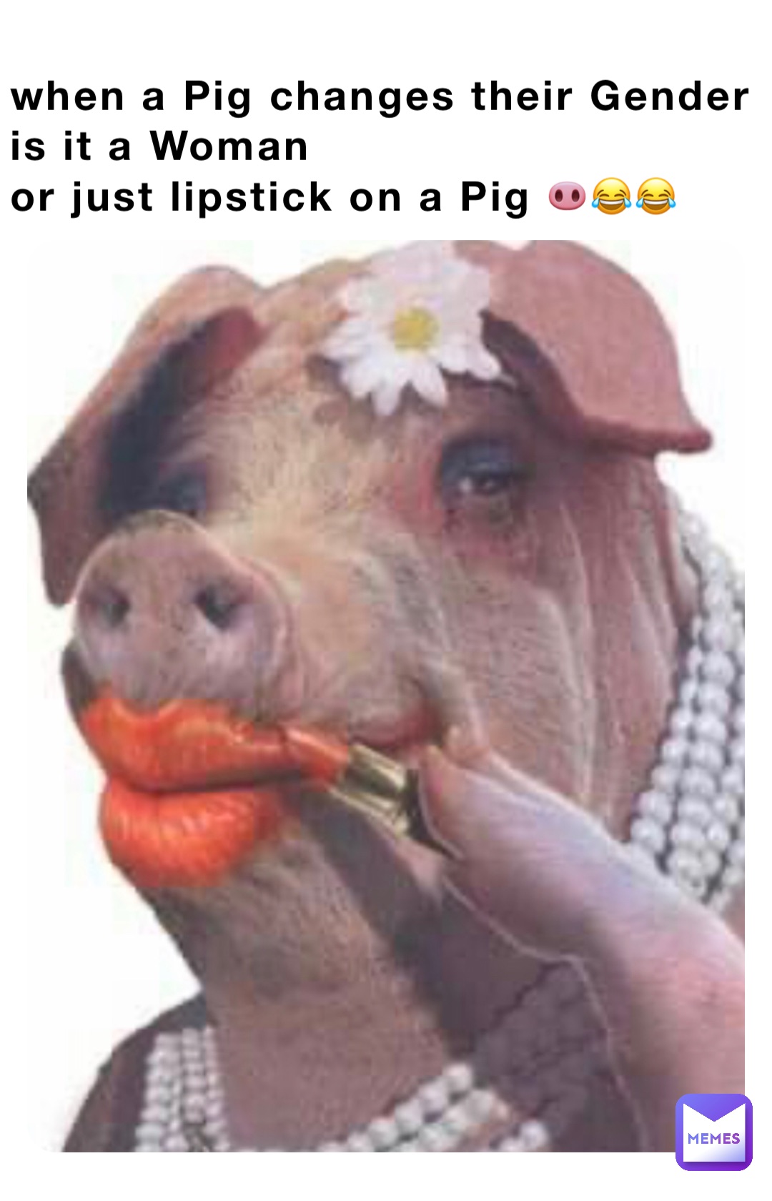 when a Pig changes their Gender 
is it a Woman 
or just lipstick on a Pig 🐽😂😂