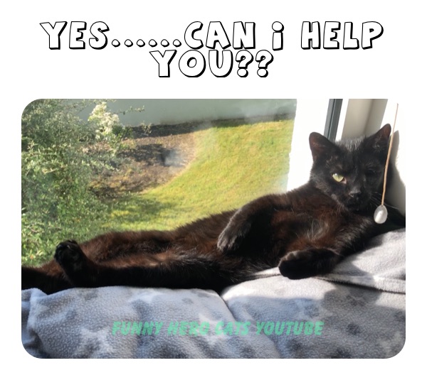 Yes......Can i help you??