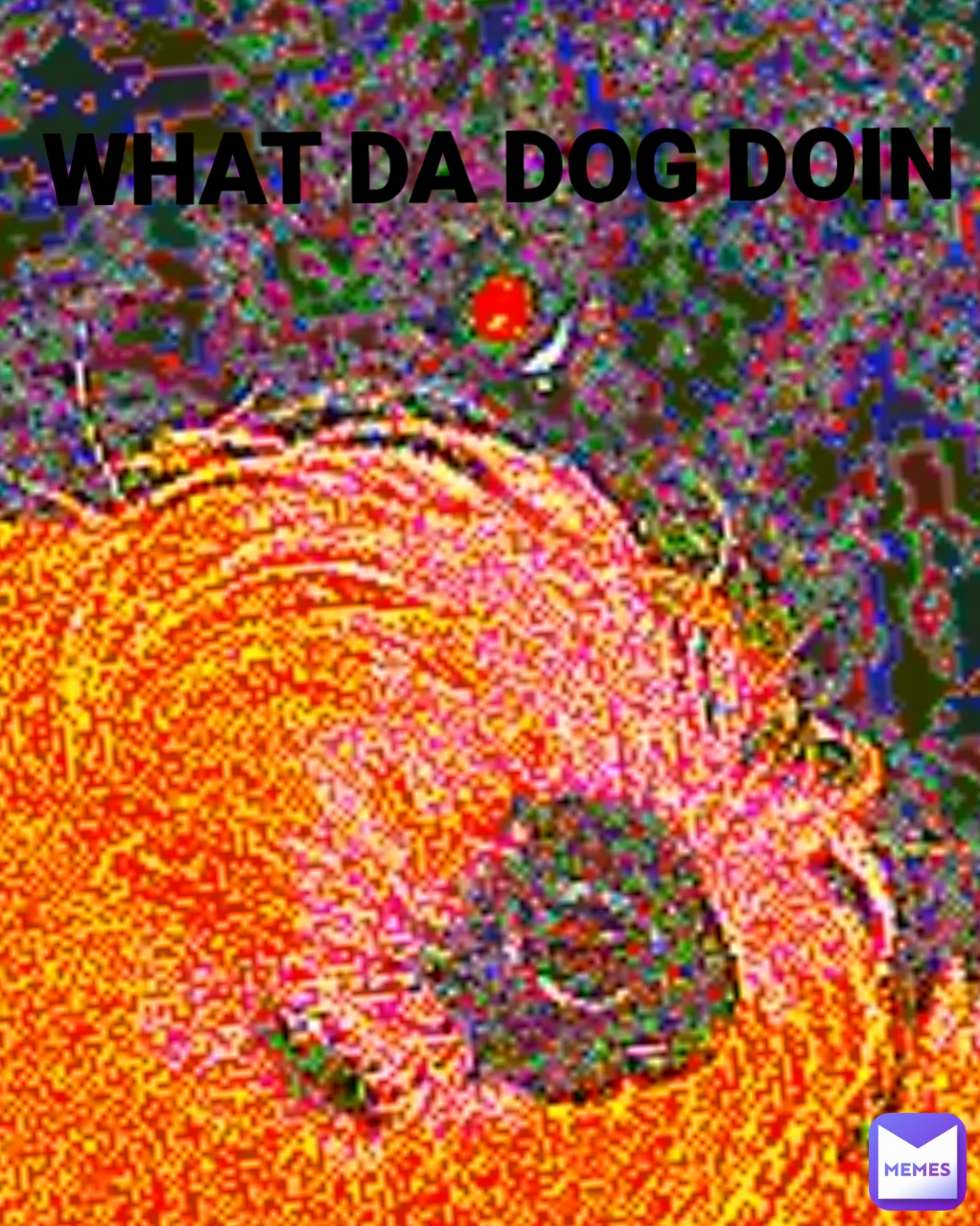 WHAT DA DOG DOIN