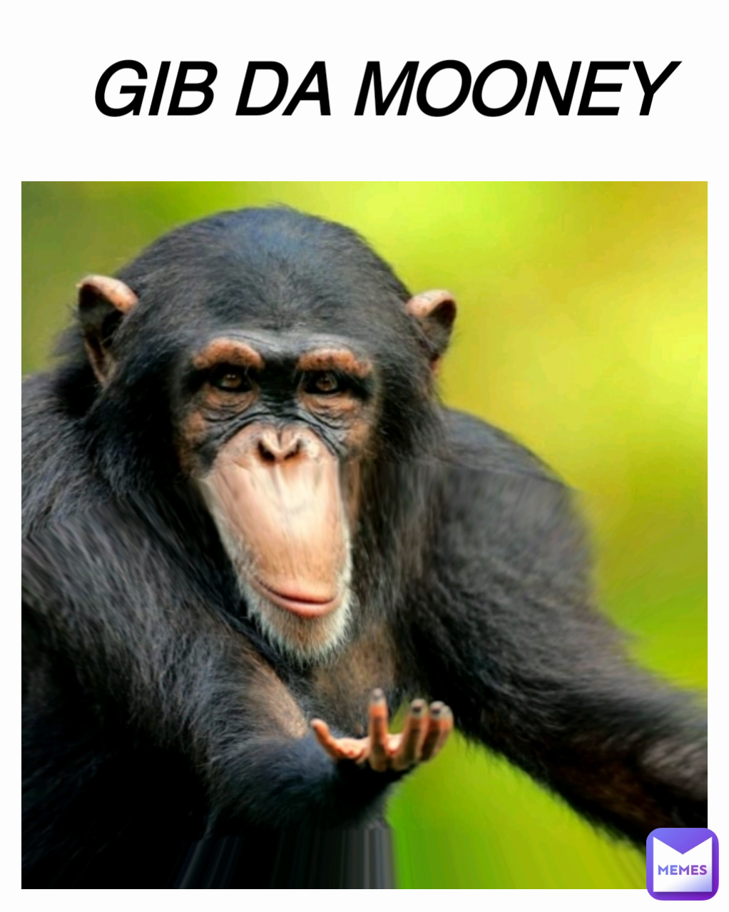 GIB DA MOONEY