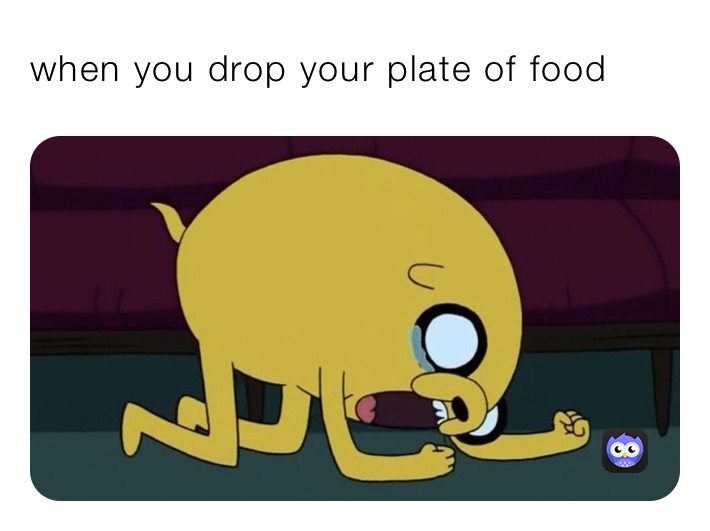 when you drop your plate of food