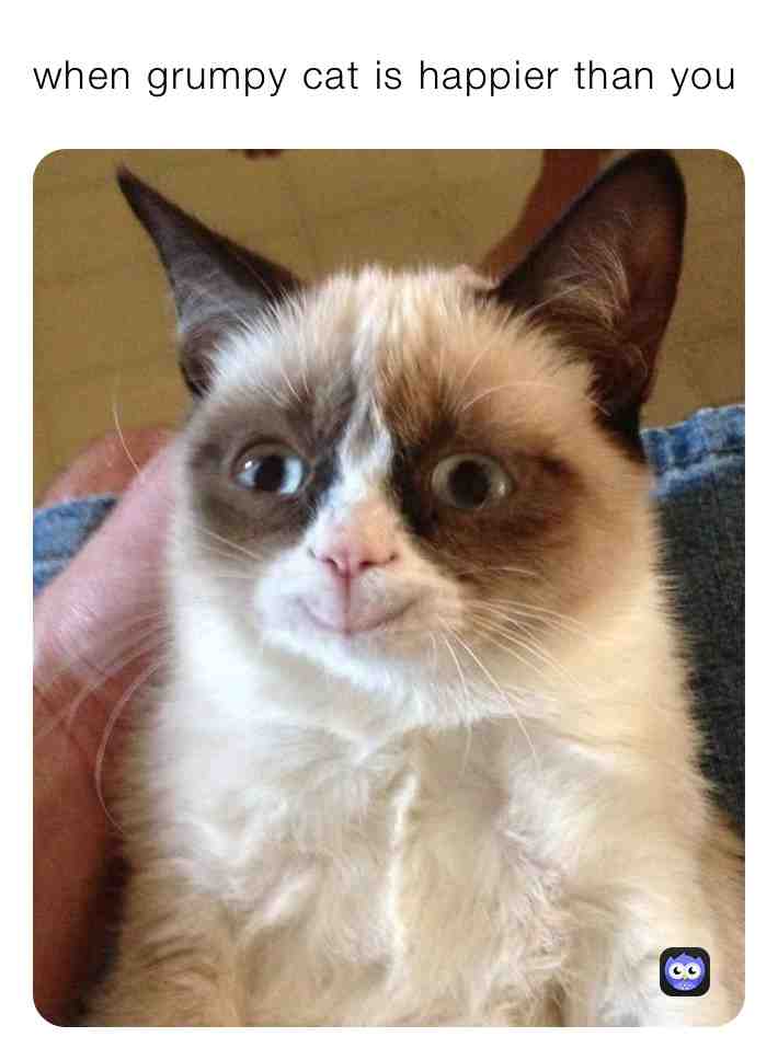 #grumpycat