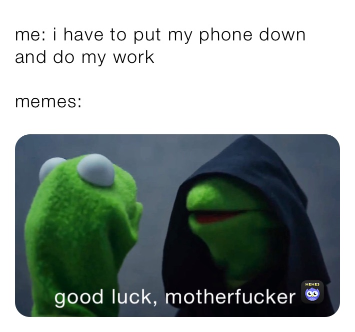 me: i have to put my phone down and do my work

memes: