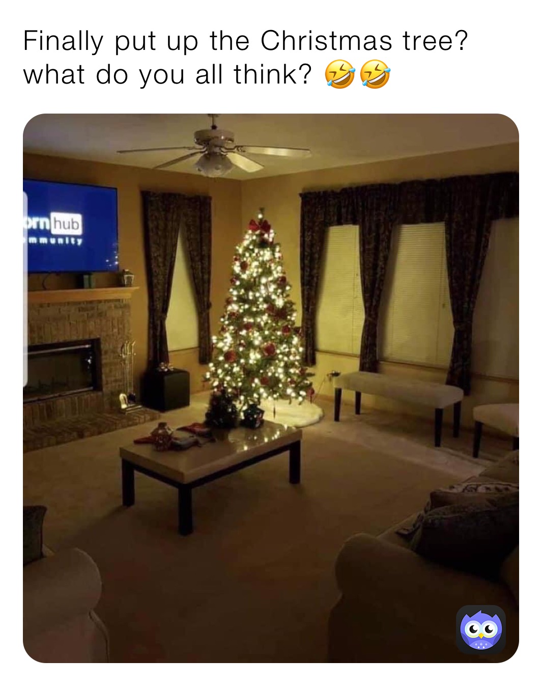 Finally put up the Christmas tree? what do you all think? 🤣🤣