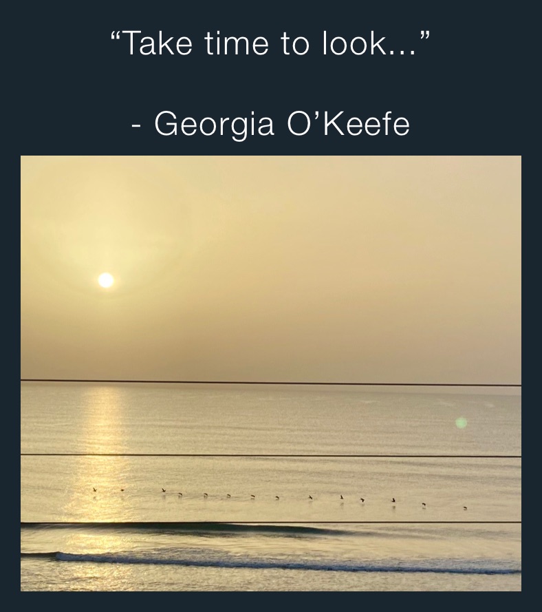 “Take time to look...”

- Georgia O’Keefe