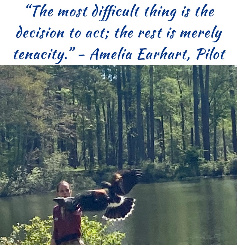 “The most difficult thing is the decision to act; the rest is merely tenacity.” - Amelia Earhart, Pilot