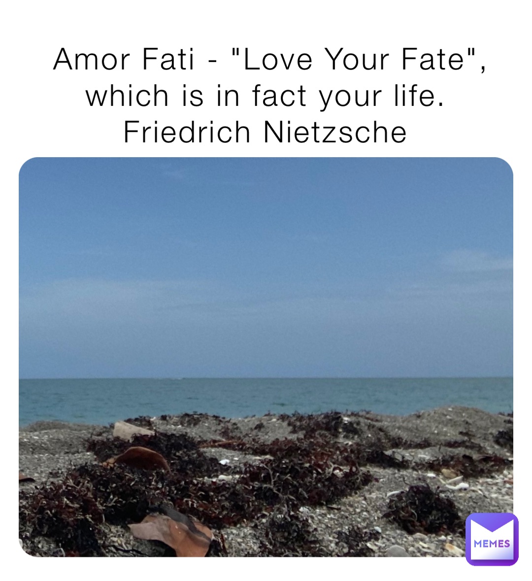 Amor Fati - "Love Your Fate", which is in fact your life.
Friedrich Nietzsche